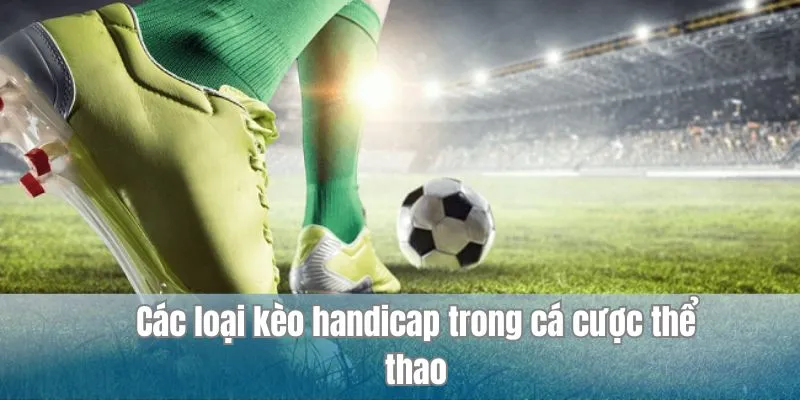 Kèo Handicap Hình Thức Kèo Cược Phổ Biến Trong Thể Thao 2 Các loại kèo handicap phổ biến nhất trong thể thao